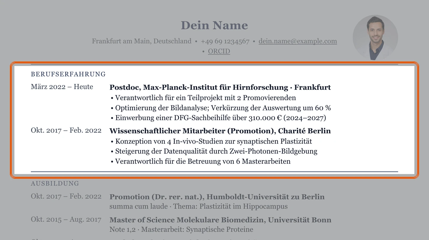 Werdegang im Muster – Muster Postdoc & Professur