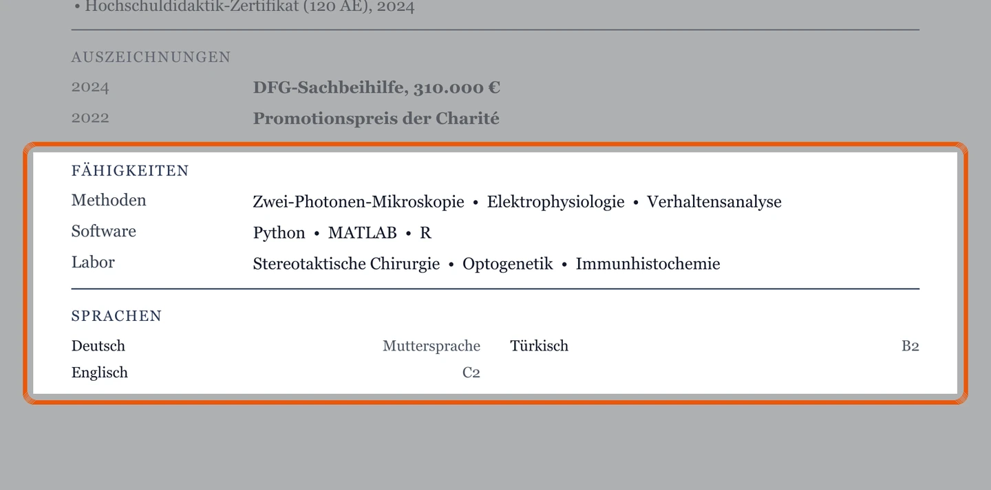 Kenntnisse und Sprachen im Muster – Muster Postdoc & Professur