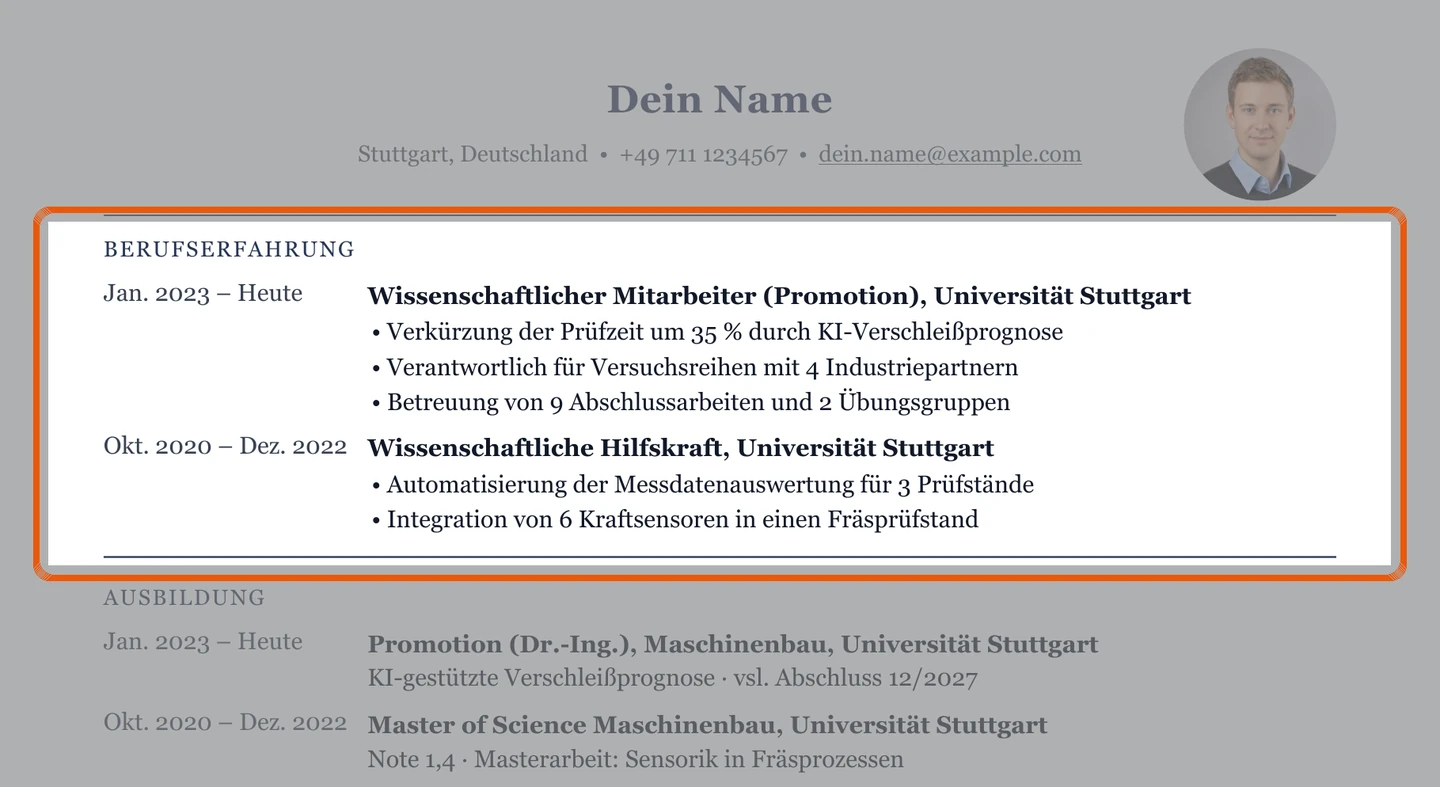 Werdegang im Muster – Muster Promotion & wissenschaftliche Mitarbeit