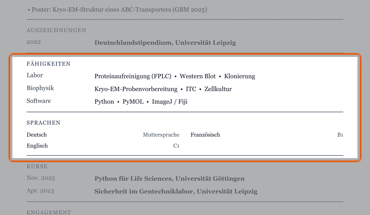 Kenntnisse und Sprachen im Muster – Muster Bewerbung auf eine Promotionsstelle