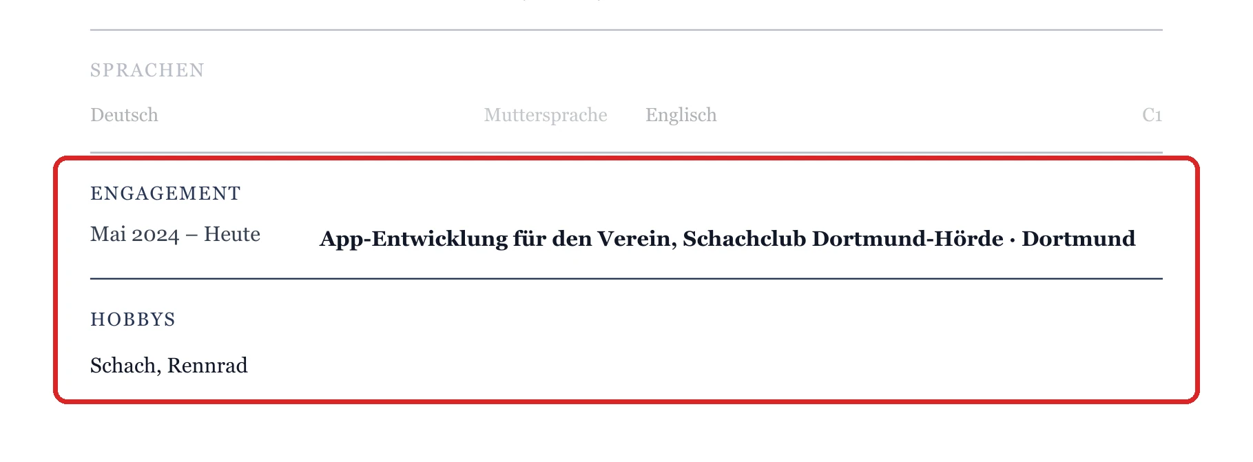 Engagement und Hobbys im Muster – Muster Mit Abitur oder nach dem Studium