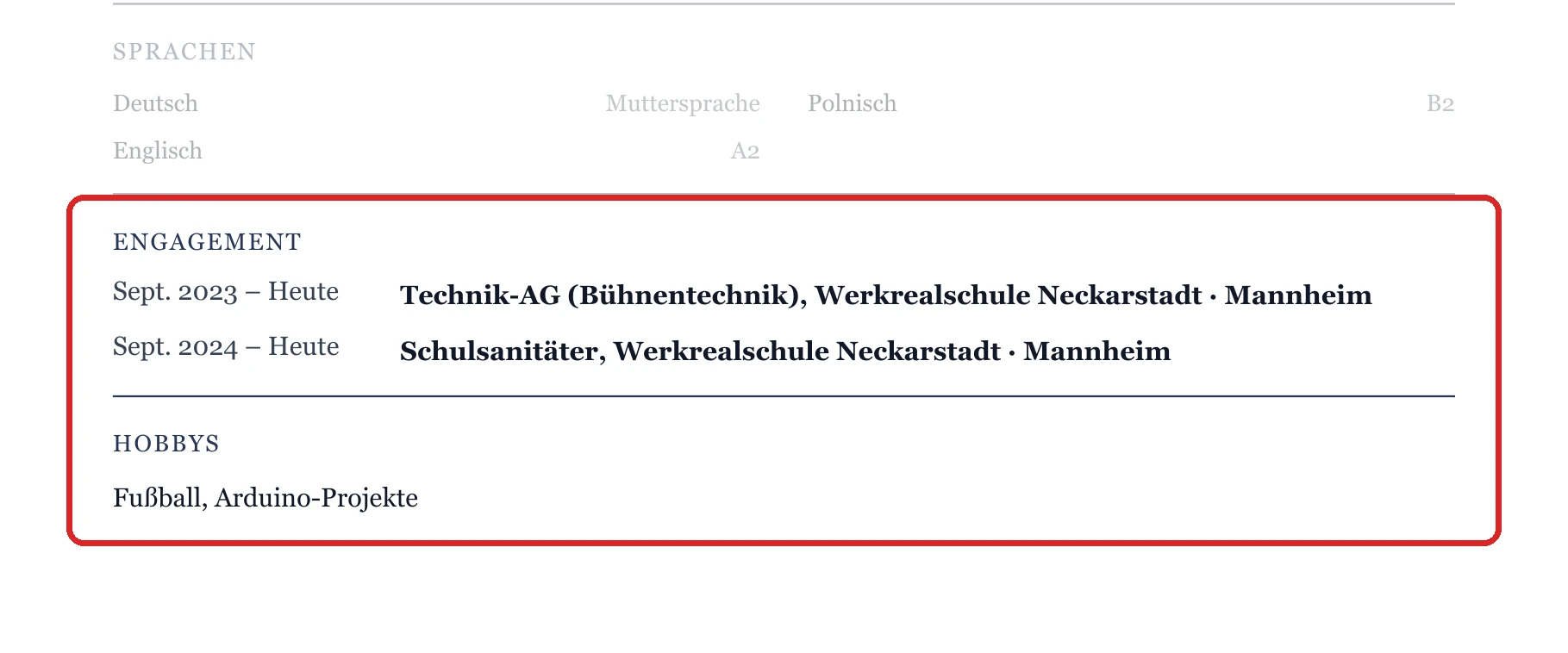 Engagement und Hobbys im Muster – Muster Schüler*innen & Schulabgänger*innen