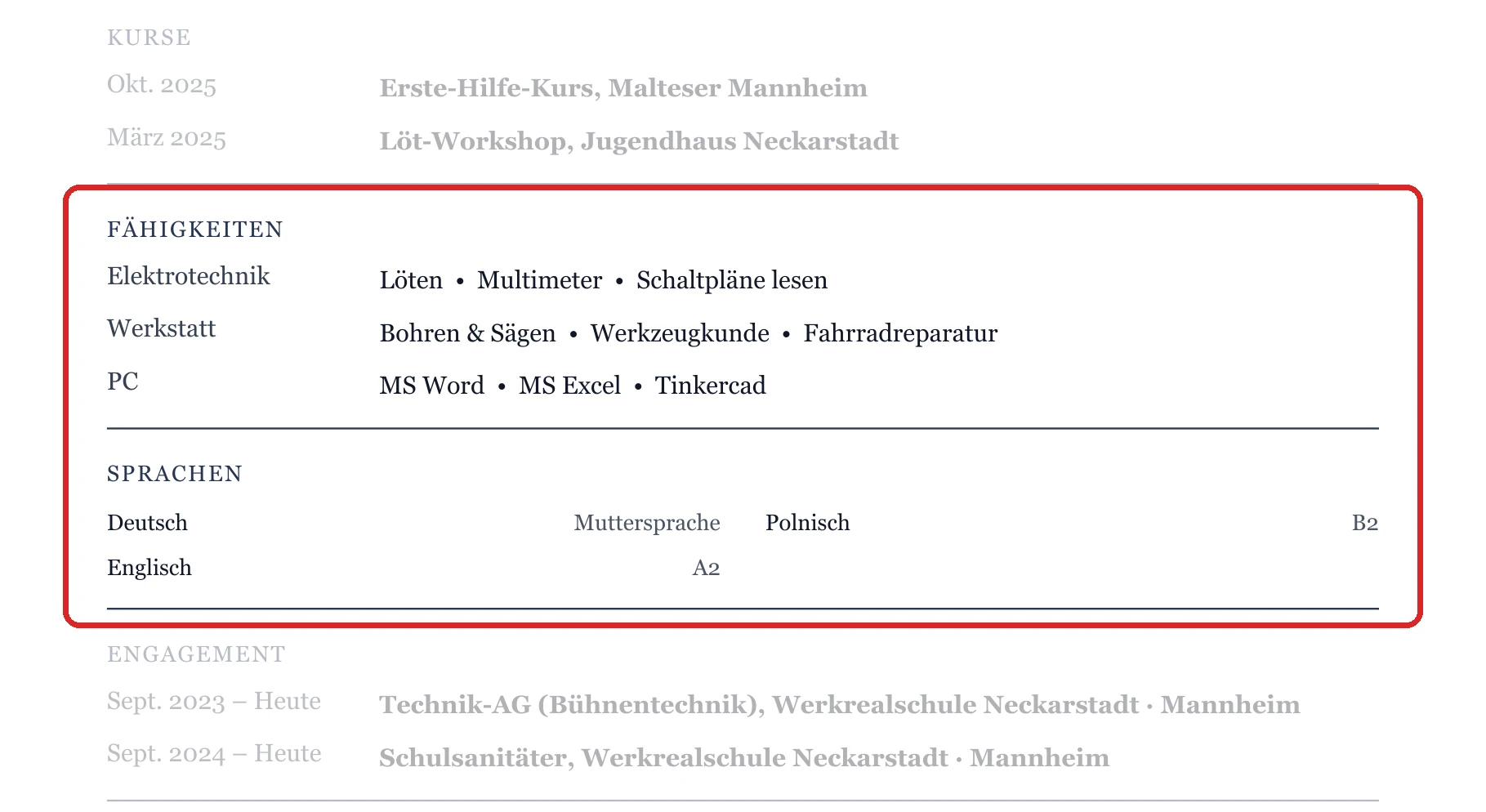 Kenntnisse und Sprachen im Muster – Muster Schüler*innen & Schulabgänger*innen
