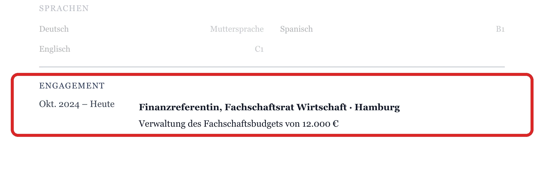 Engagement im Muster – Studium & Berufseinstieg