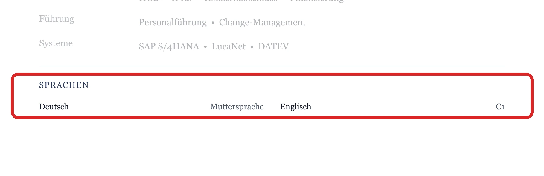 Sprachen im Muster – Finanzleitung & CFO