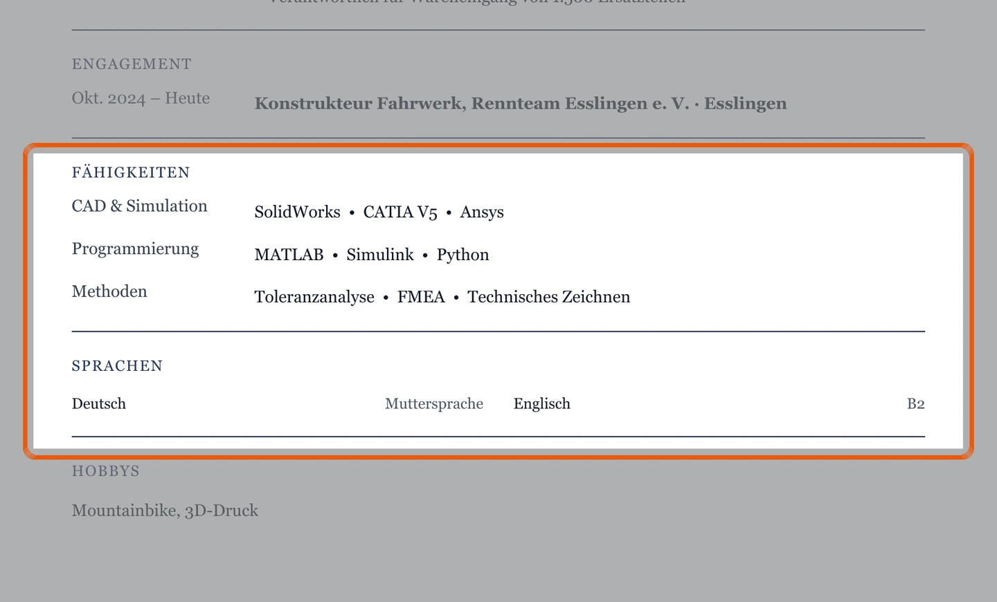 Kenntnisse und Sprachen im Muster – Muster Technik & IT