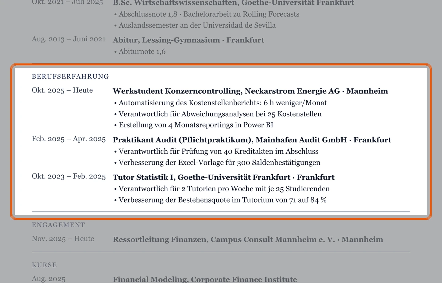 Berufserfahrung im Muster – Muster Wirtschaft