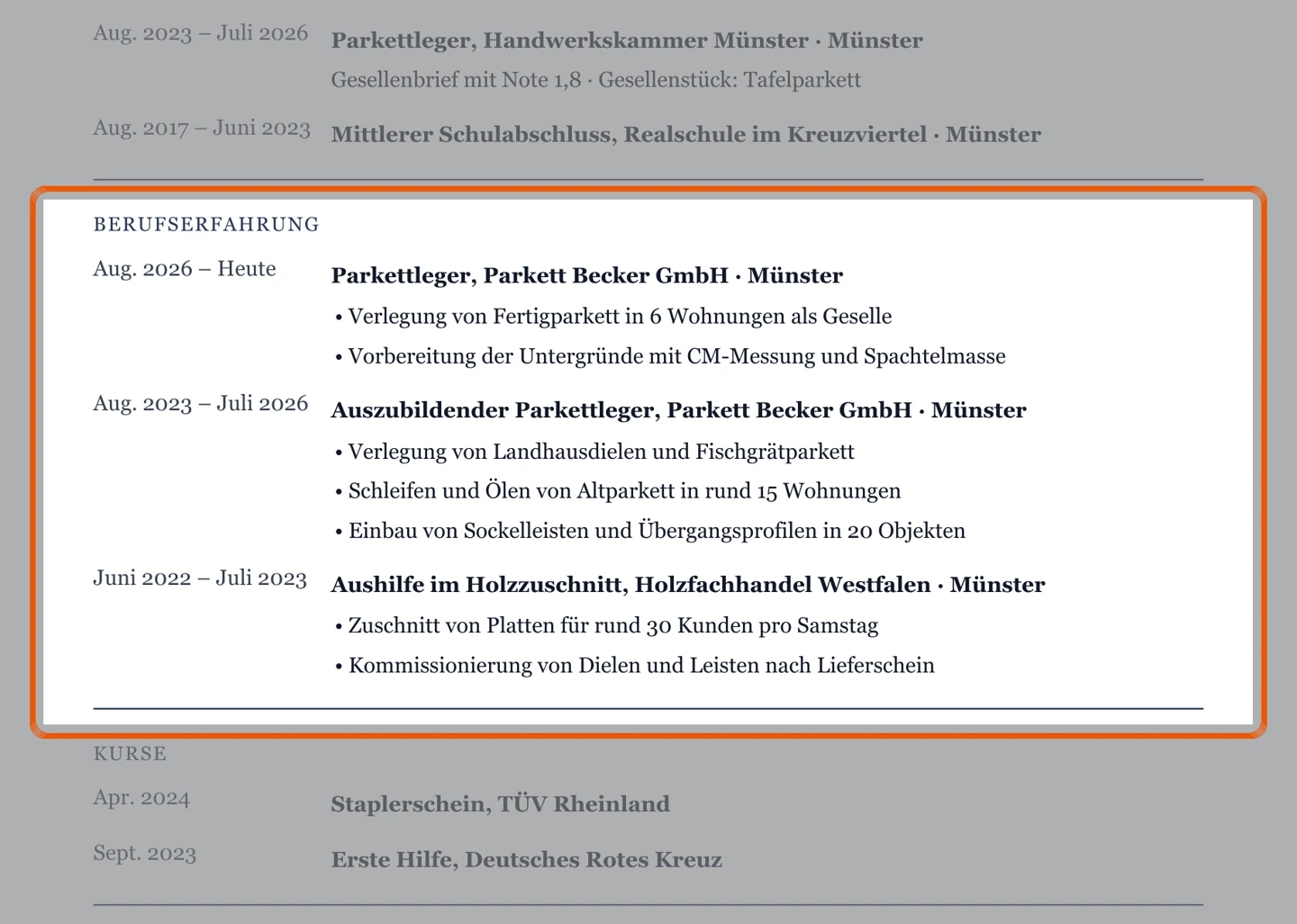 Berufserfahrung im Muster – Muster Ausbildung & Berufseinstieg