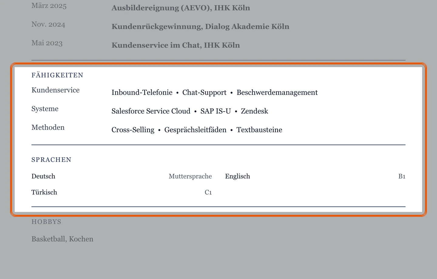 Kenntnisse und Sprachen im Muster – Muster Kundenservice am Telefon & online