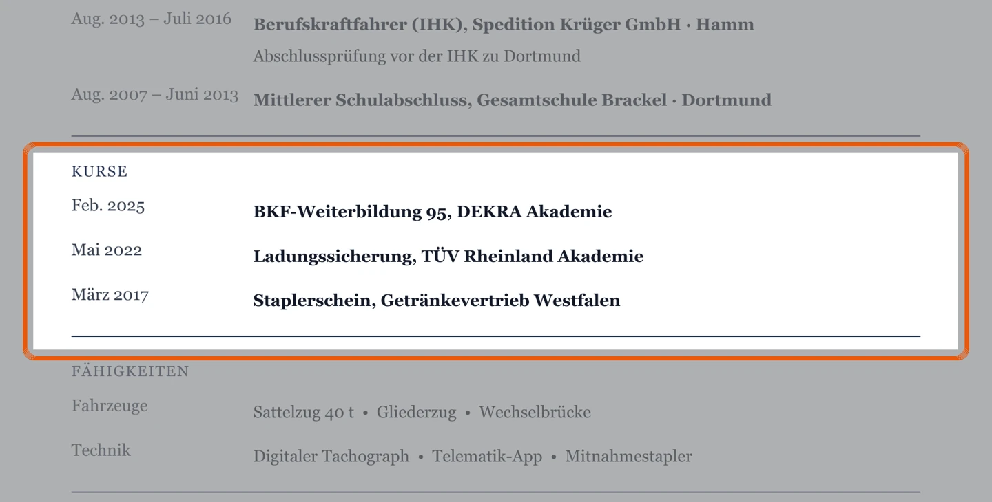 Ausschnitt Muster LKW-Fahrer – allgemein