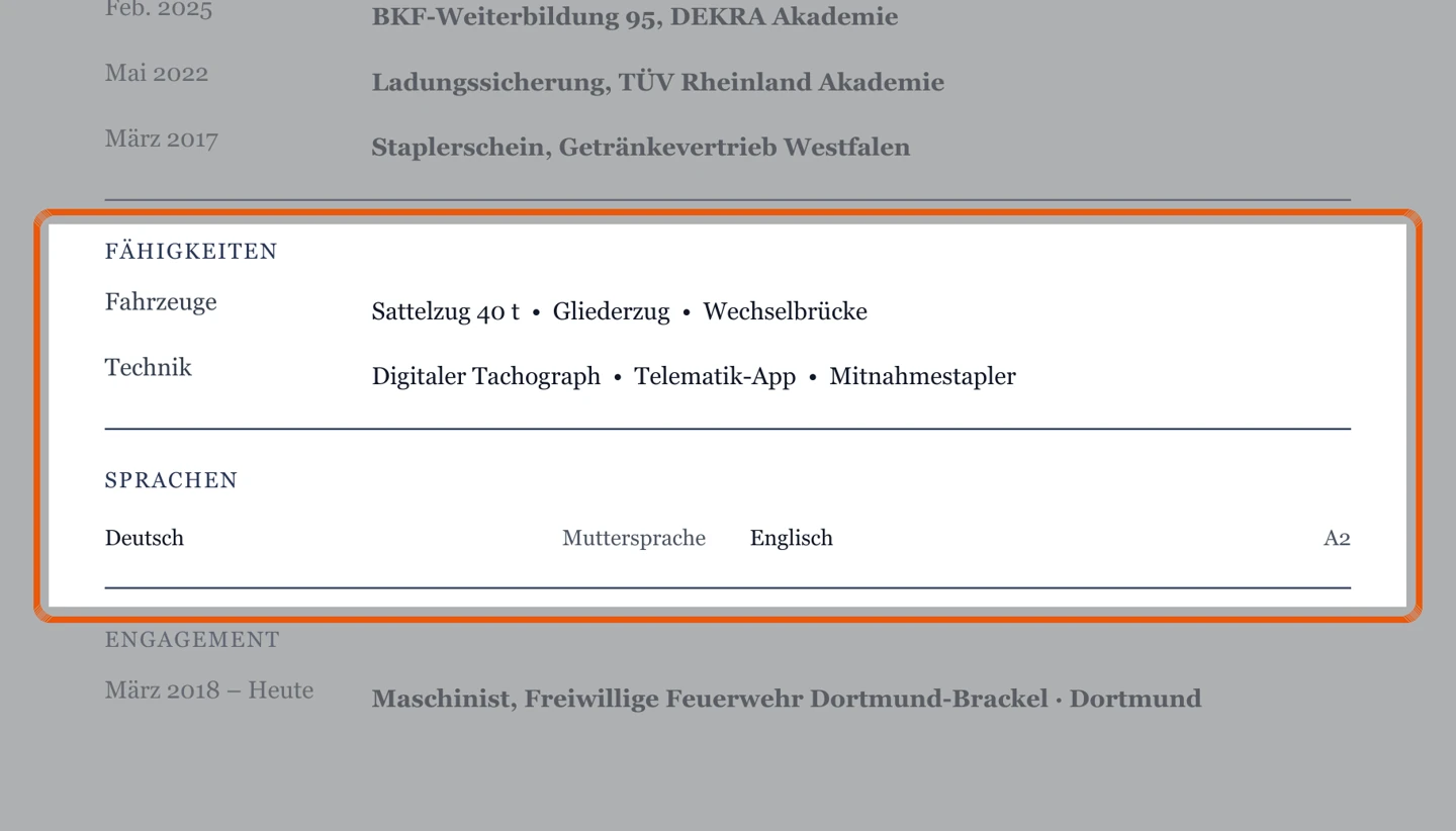 Ausschnitt Muster LKW-Fahrer – allgemein