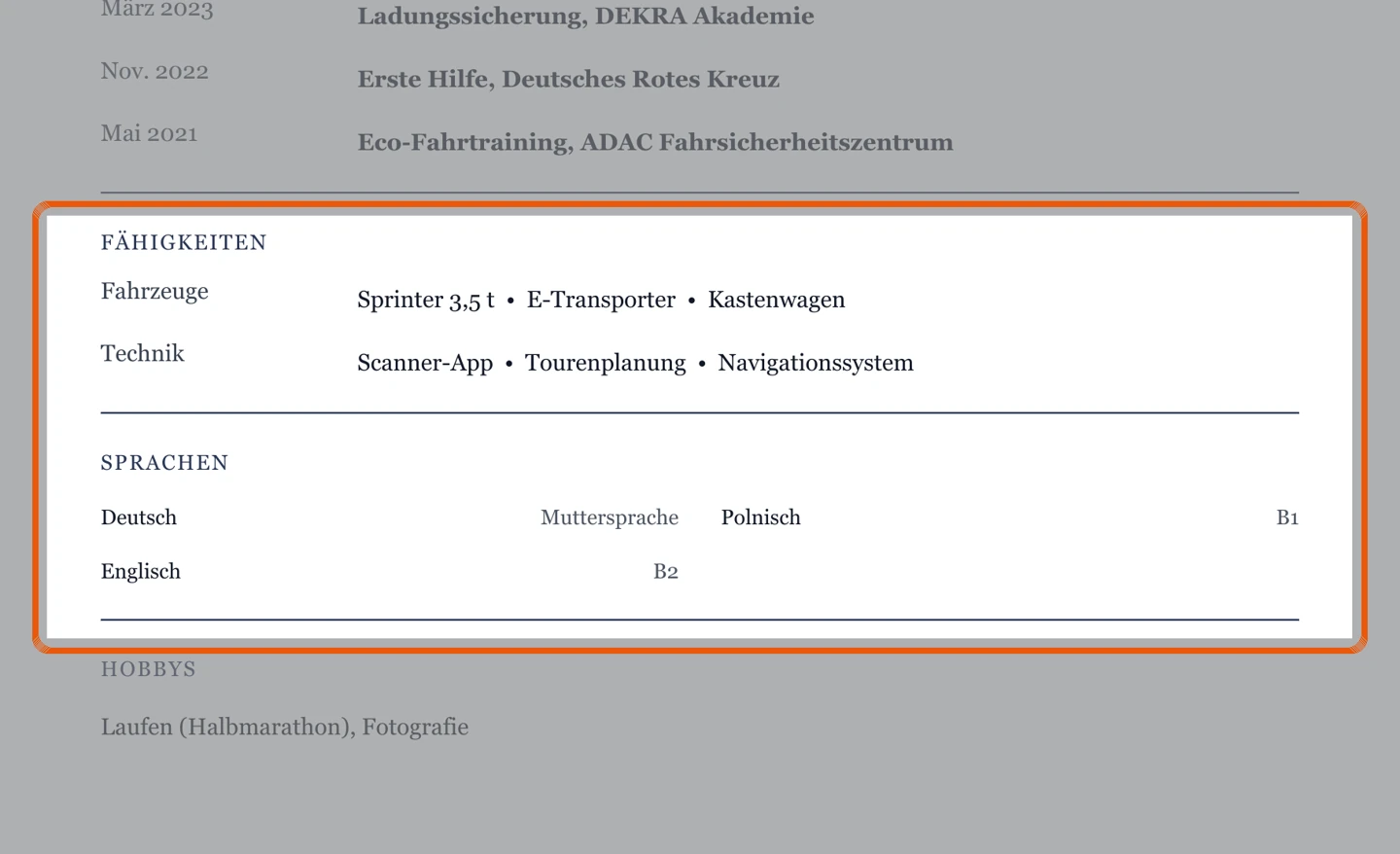 Ausschnitt Muster Kurier & Transporter