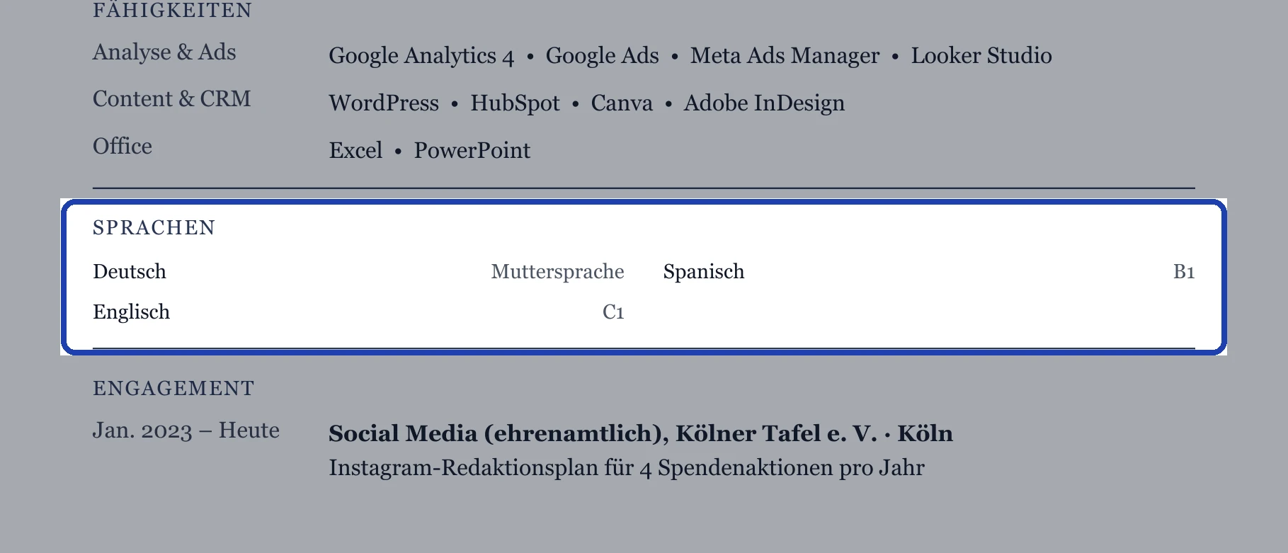 Sprachen im Muster: eigener Abschnitt mit Niveau.