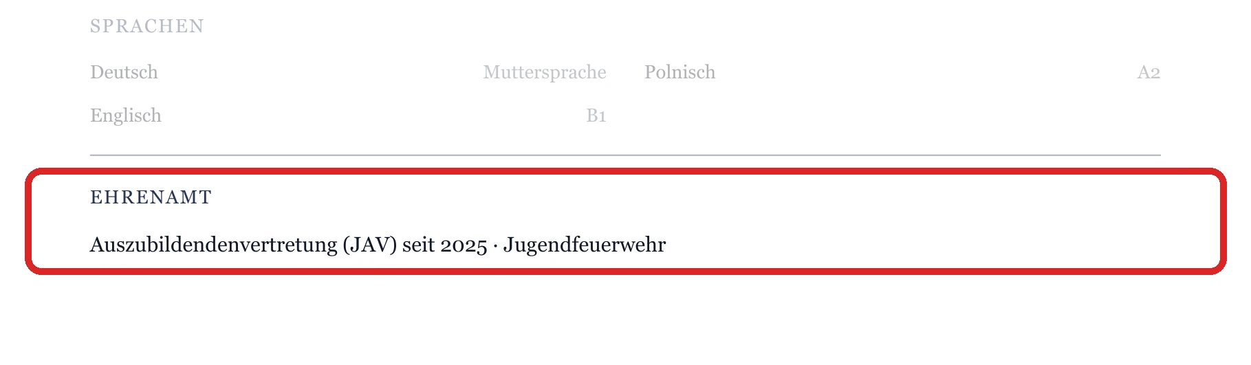 Ehrenamt im Muster – Ausbildung, duales Studium & Einstieg