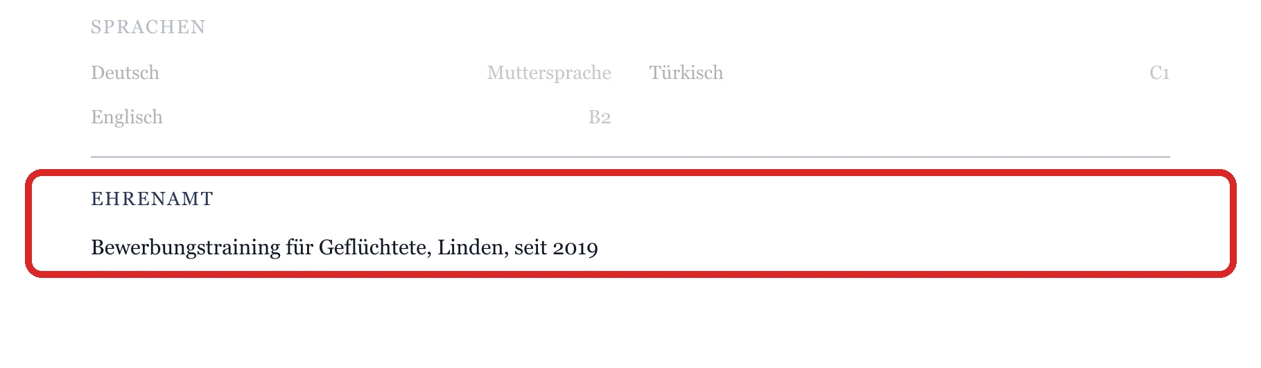 Ehrenamt im Muster – Jobcenter, Arbeitsagentur & Rentenversicherung