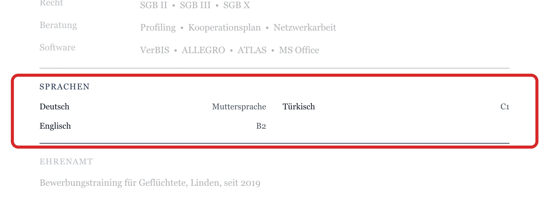 Sprachen im Muster – Jobcenter, Arbeitsagentur & Rentenversicherung