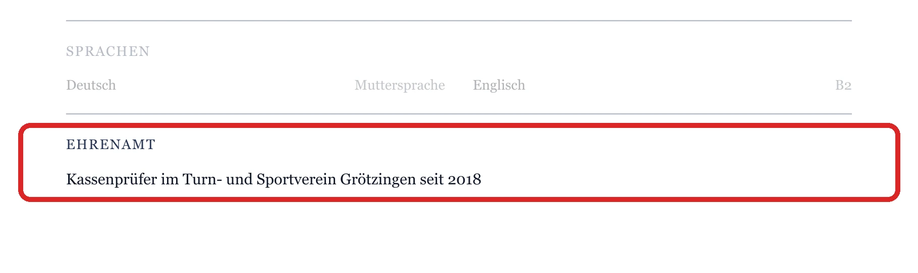 Ehrenamt im Muster – Quereinstieg aus der Privatwirtschaft