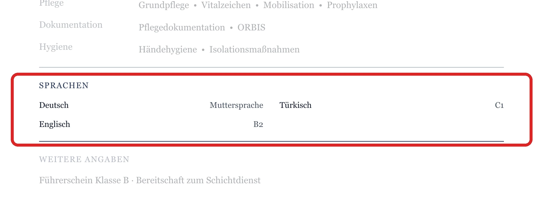 Sprachen im Muster – Ausbildung & Berufseinstieg