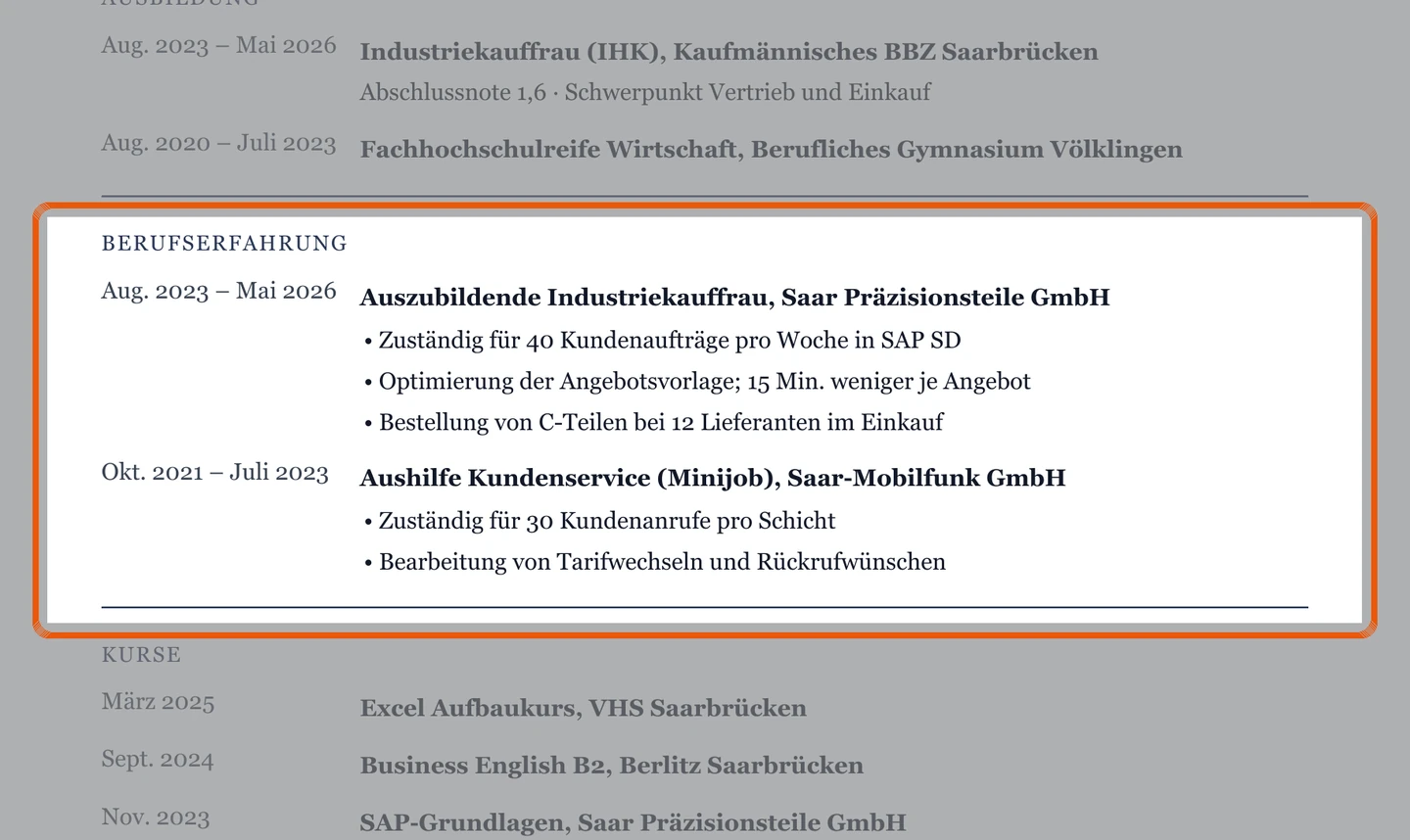 Berufserfahrung im Muster – Muster Berufseinstieg
