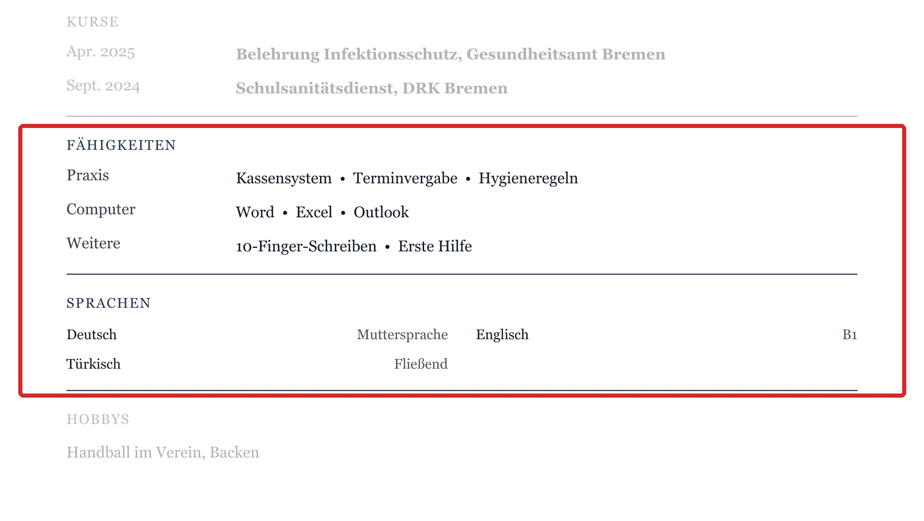 Kenntnisse und Sprachen im Muster – Muster Schulabschluss & Ausbildungssuche