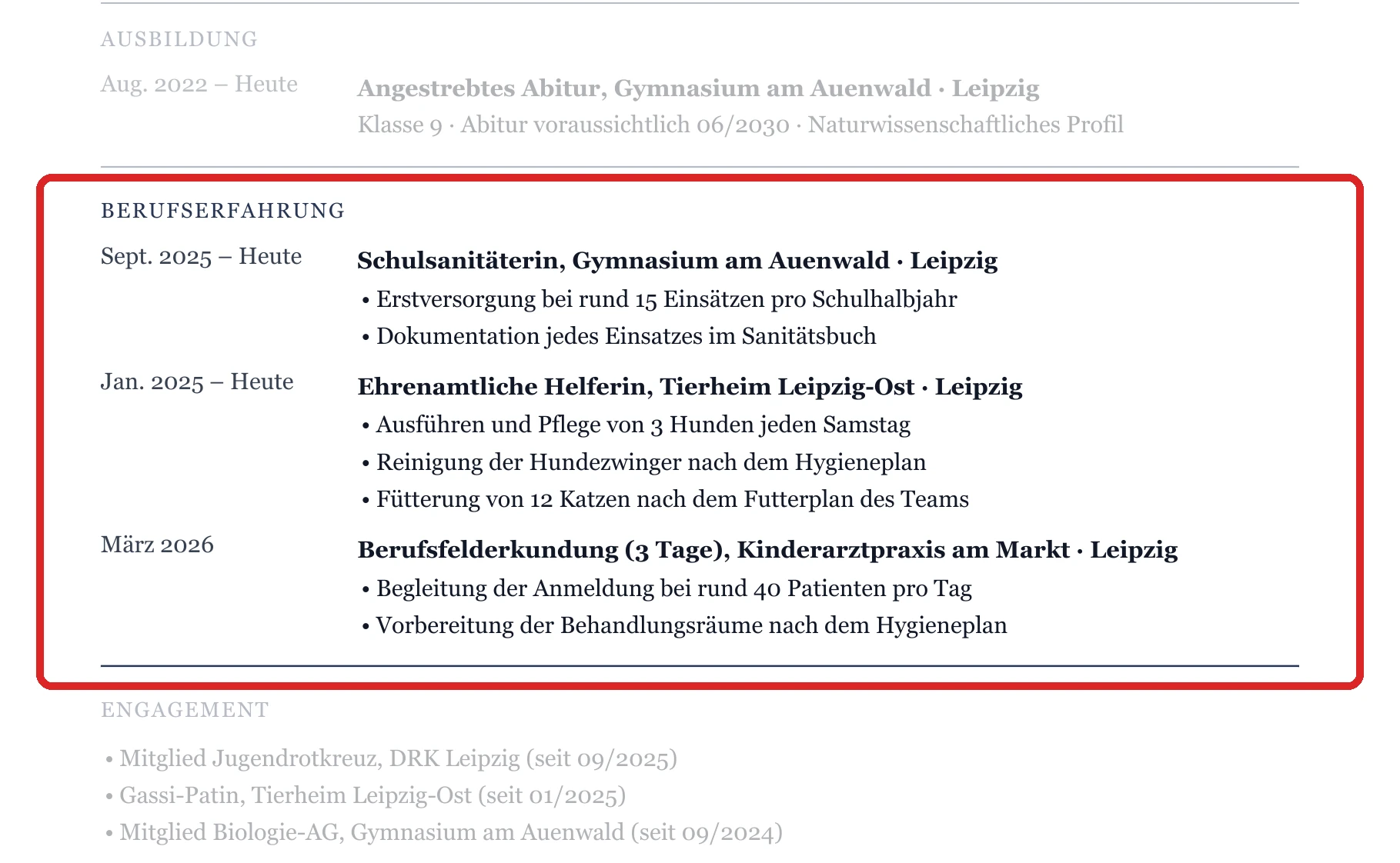 Praktische Erfahrung im Muster – Muster Gesundheit, Pflege & Tiere