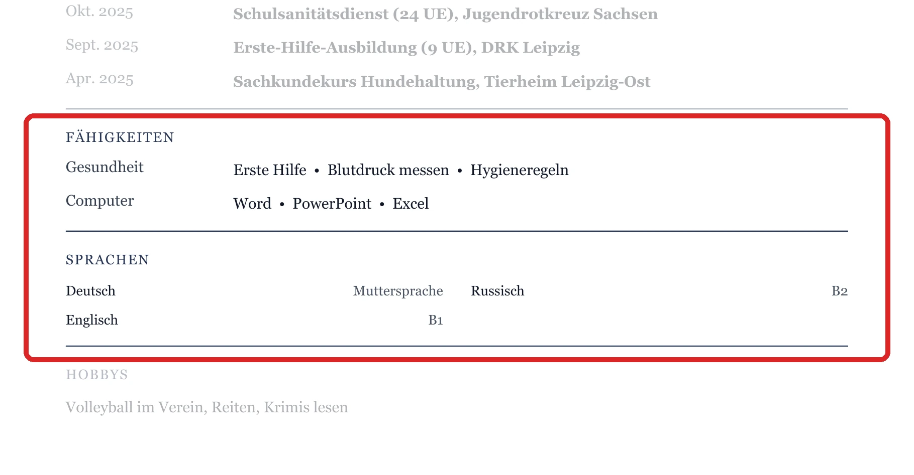 Kenntnisse und Sprachen im Muster – Muster Gesundheit, Pflege & Tiere