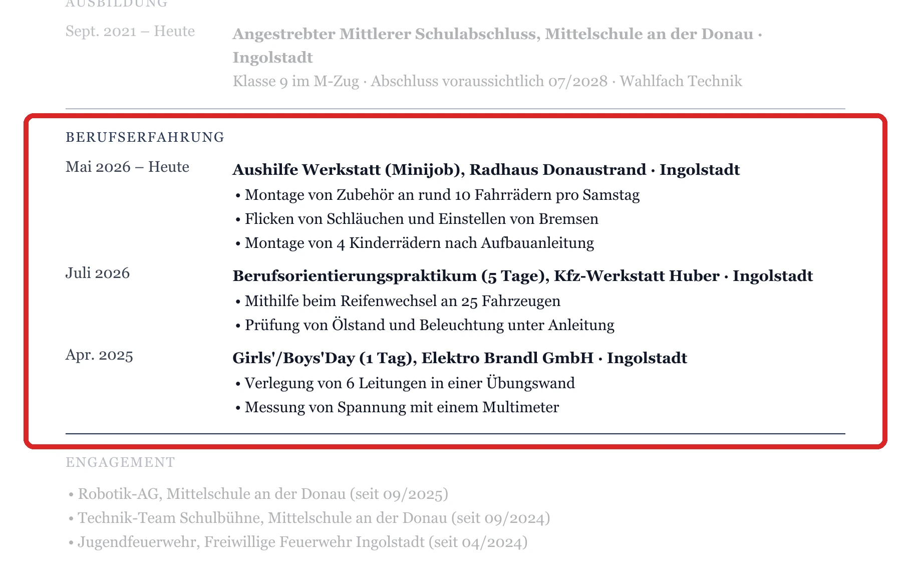Praktische Erfahrung im Muster – Muster Handwerk, Technik & IT