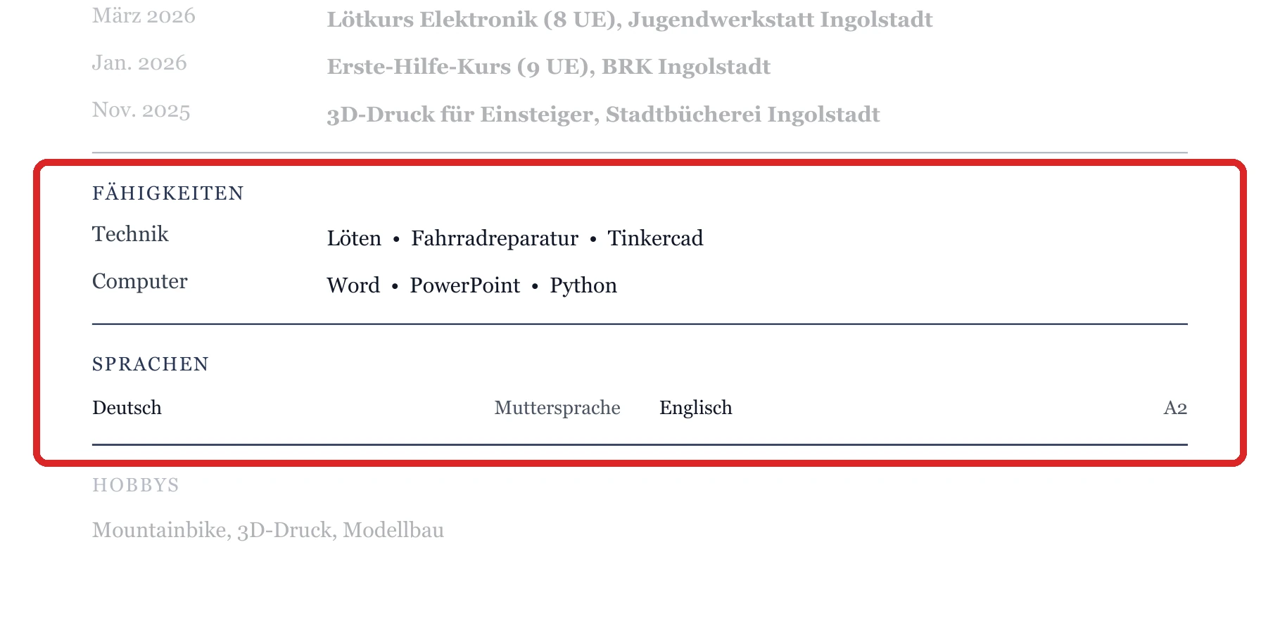 Kenntnisse und Sprachen im Muster – Muster Handwerk, Technik & IT