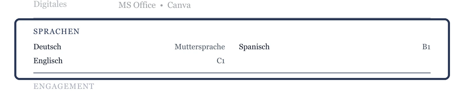 Sprachen mit Niveau – Muster Studium & Berufseinstieg