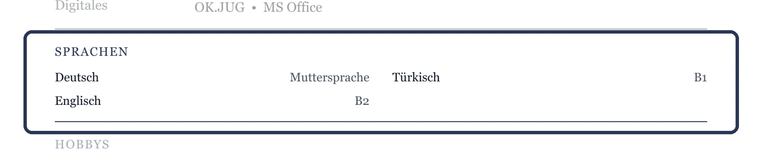 Sprachen mit Niveau – Muster Kinder- & Jugendhilfe