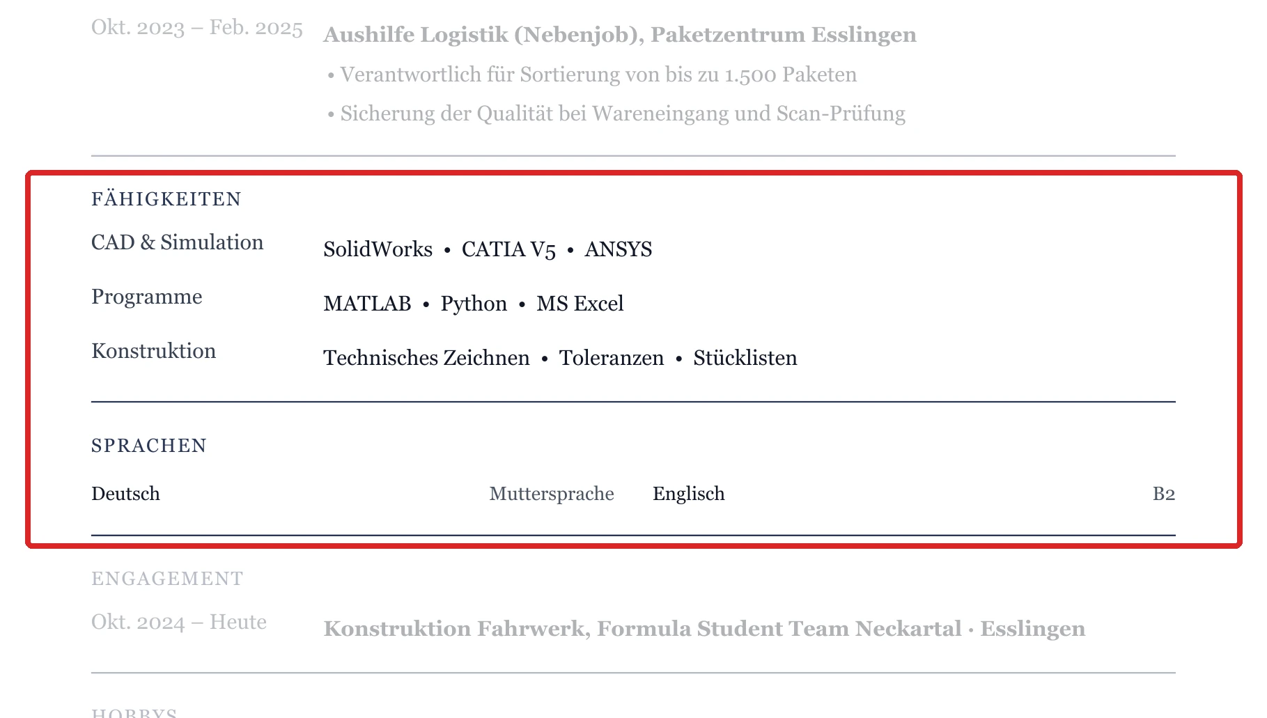 Kenntnisse und Sprachen im Muster – Muster Ingenieurwesen & Technik