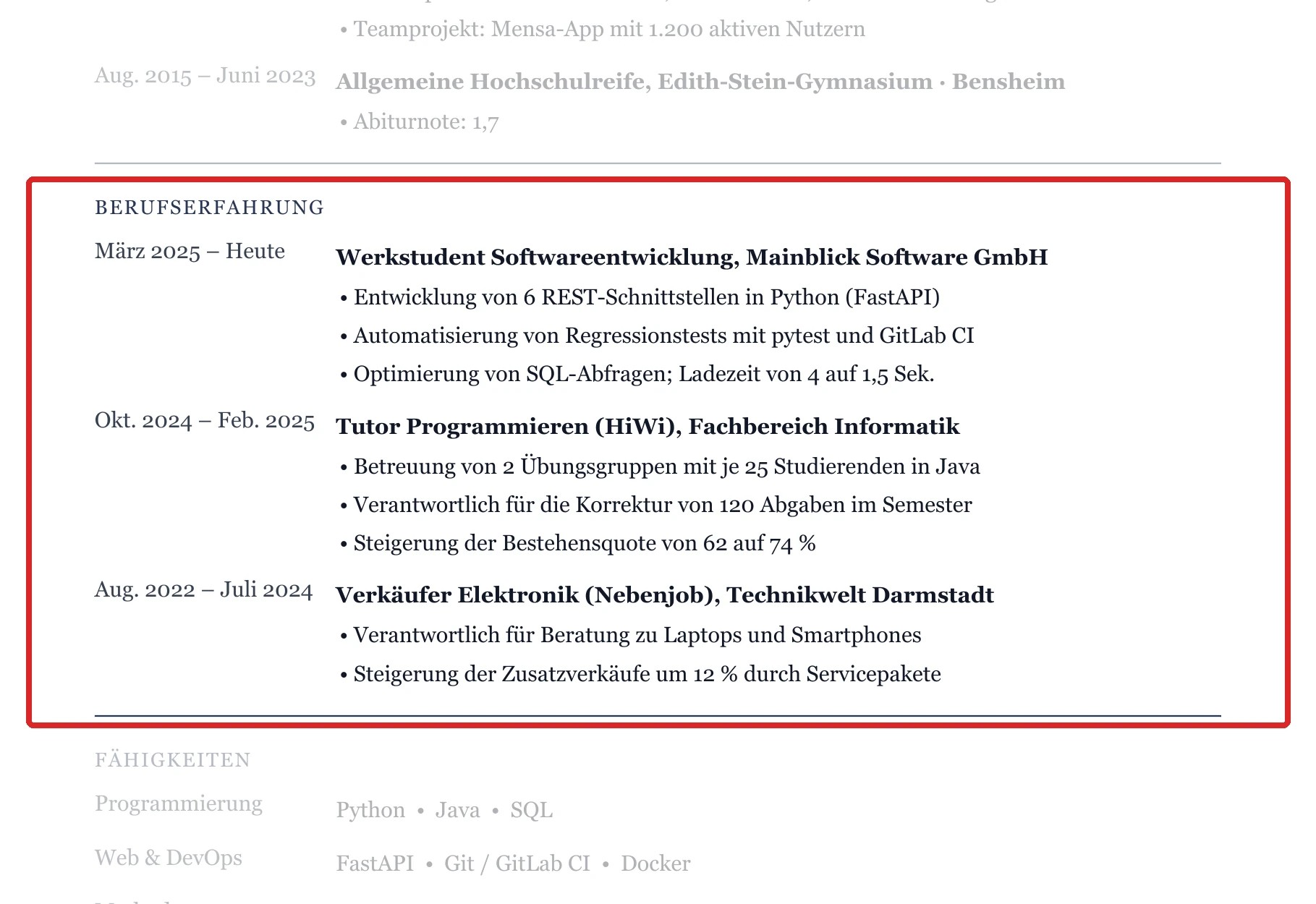 Berufserfahrung im Muster – Muster Informatik & IT
