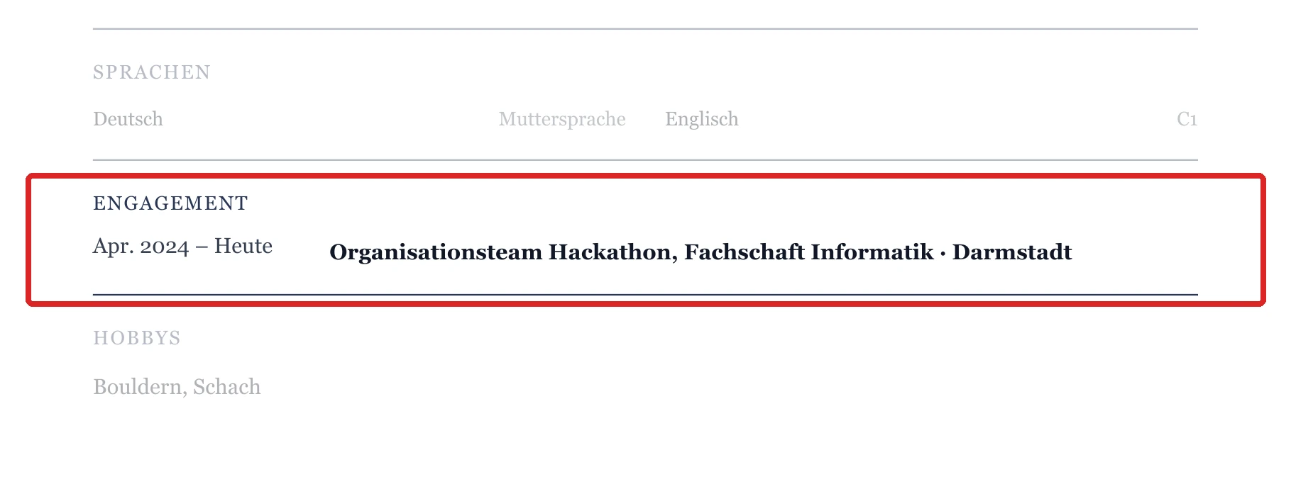 Engagement im Muster – Muster Informatik & IT