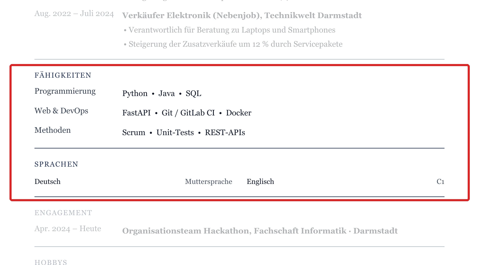 Kenntnisse und Sprachen im Muster – Muster Informatik & IT