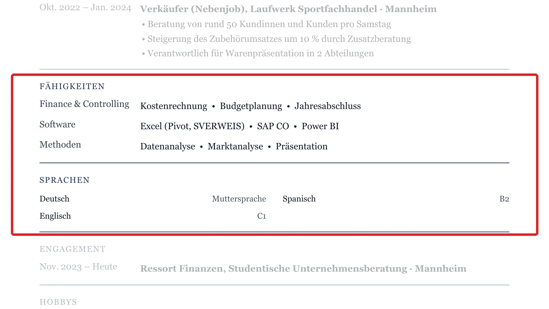 Kenntnisse und Sprachen im Muster – Muster Wirtschaftswissenschaften