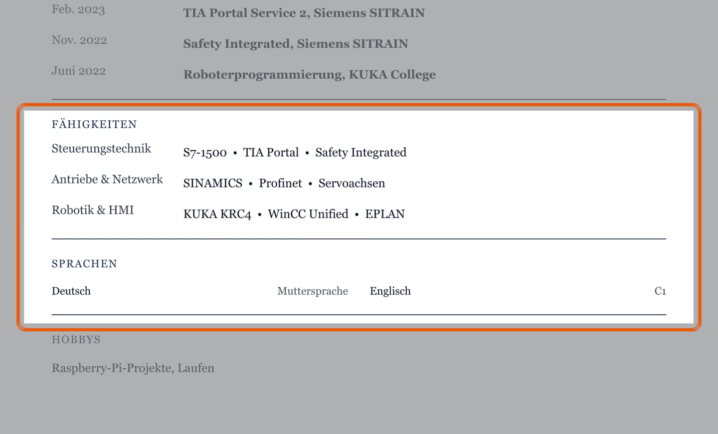 Kenntnisse und Sprachen im Muster – Muster Mechatronik & Automatisierung