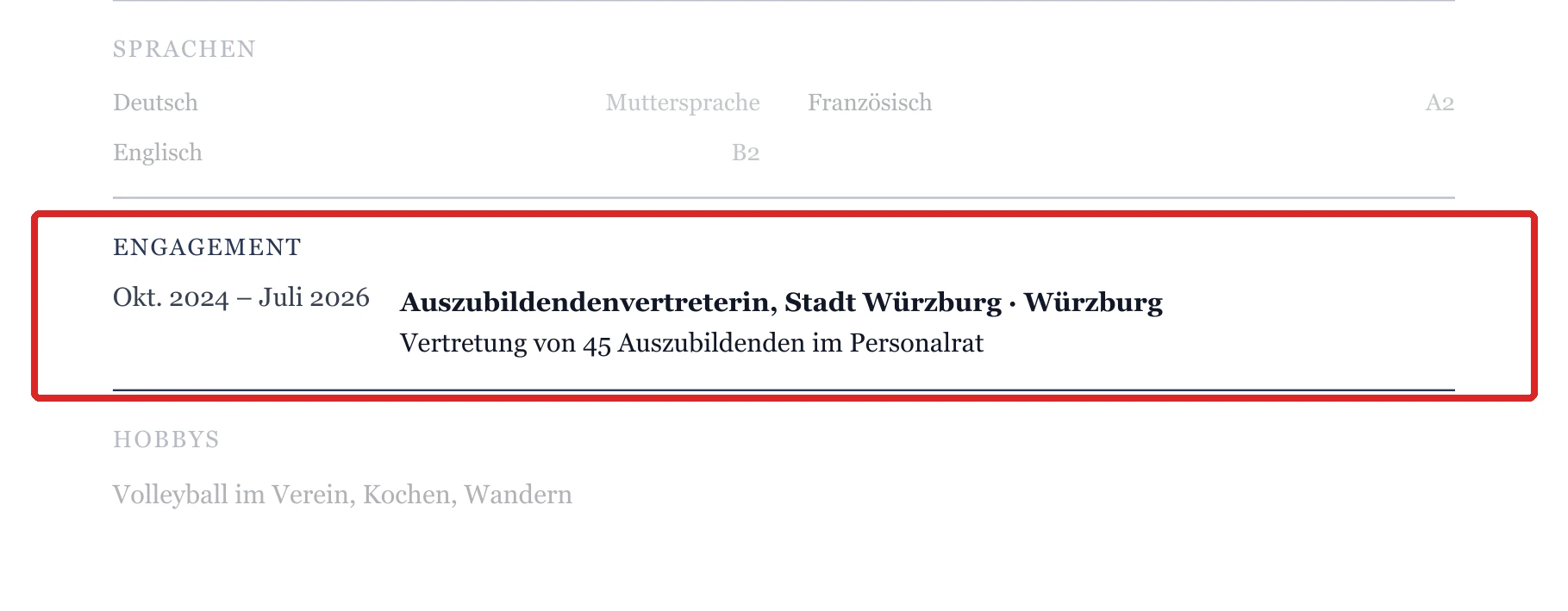 Engagement im Muster – Ausbildung & Berufseinstieg