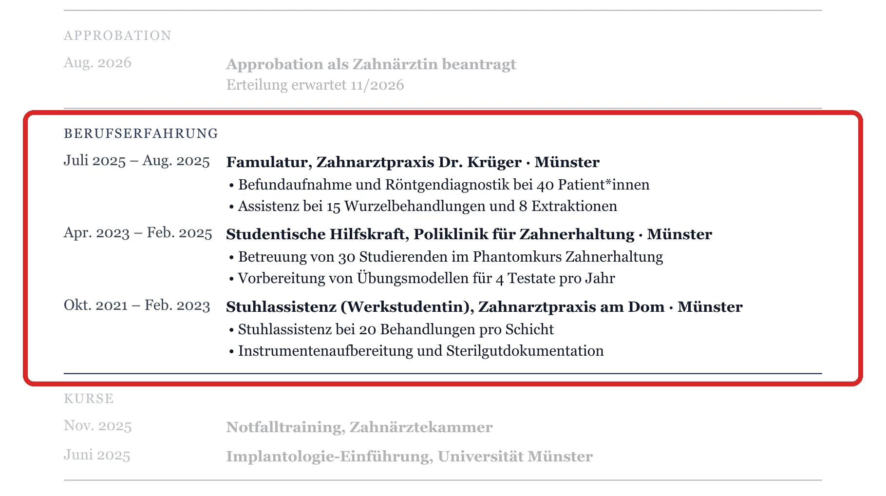 Berufserfahrung im Muster – Muster Studium, Examen & Berufseinstieg
