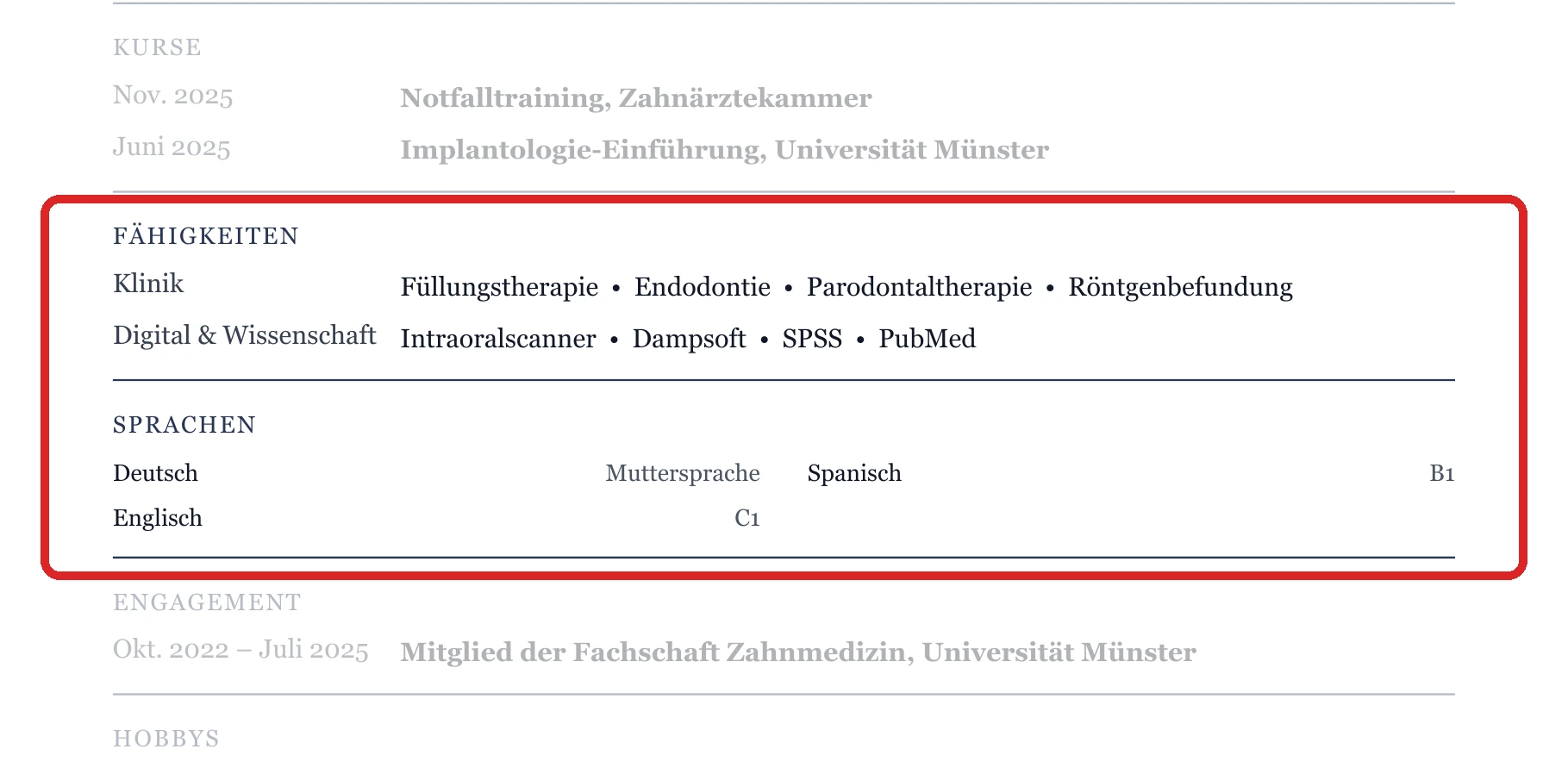 Kenntnisse und Sprachen im Muster – Muster Studium, Examen & Berufseinstieg