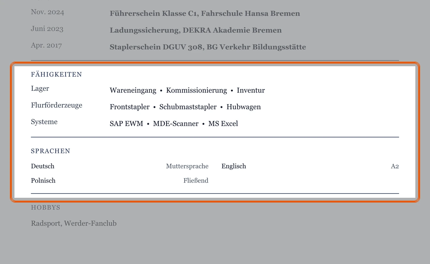 Kenntnisse und Sprachen im Muster – Muster Lager & Logistik